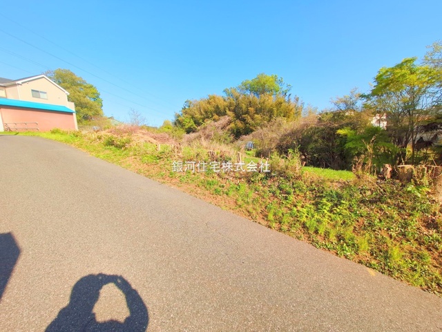 大井