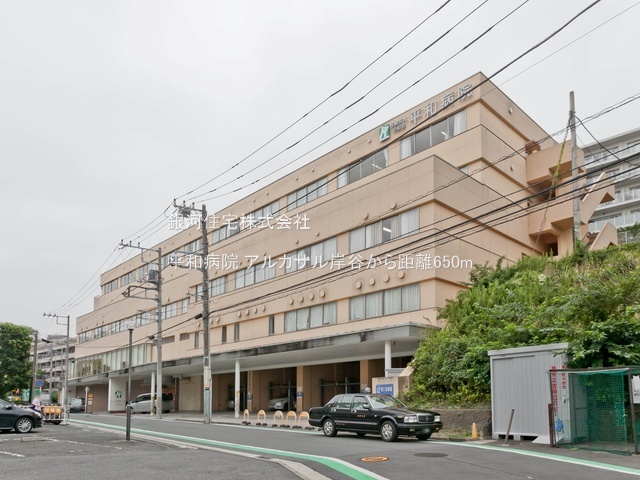G00377187 神奈川県横浜市鶴見区岸谷３丁目 中古マンション 3180万円 専有面積55.97m² (約16.93坪) 間取り２ＬＤＫ 所在階4階 築年月1995年01月(築30年)【周辺環境】平和病院