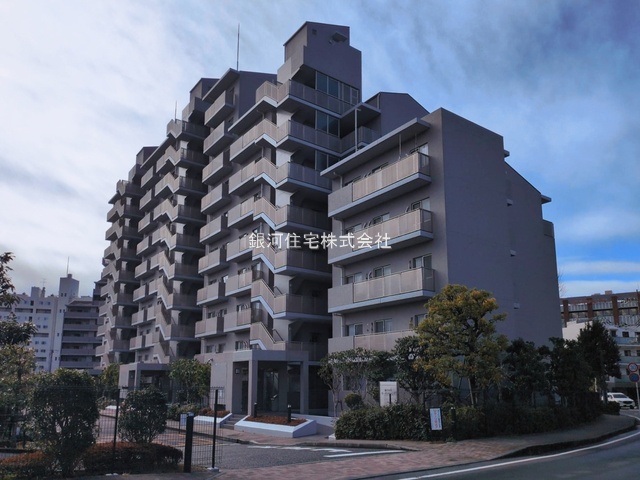 岡本