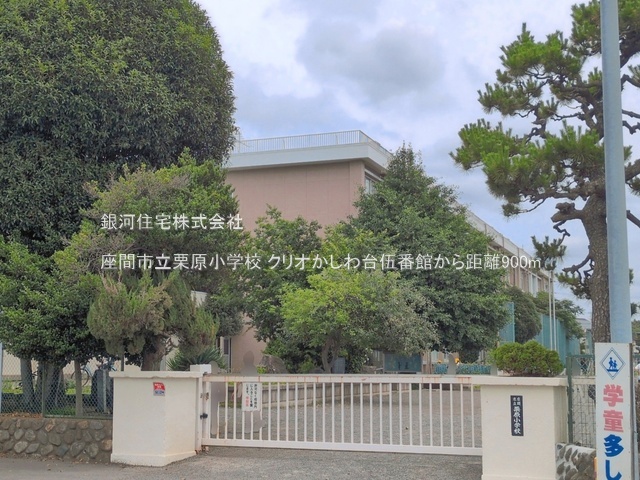 G00397562 神奈川県座間市南栗原１丁目 中古マンション 1699万円 専有面積56.19m² (約16.99坪) 間取り３ＬＤＫ 所在階4階 築年月1994年03月(築32年)【周辺環境】座間市立栗原小学校
