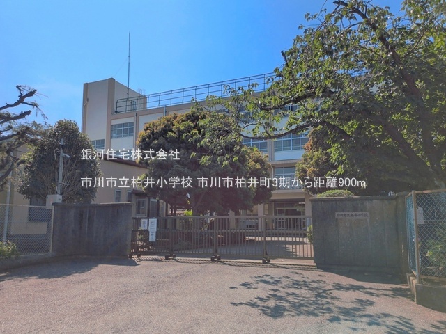 G00399037 千葉県市川市柏井町１丁目 土地 3600万円 土地面積120.30m² (約36.39坪)【周辺環境】市川市立柏井小学校